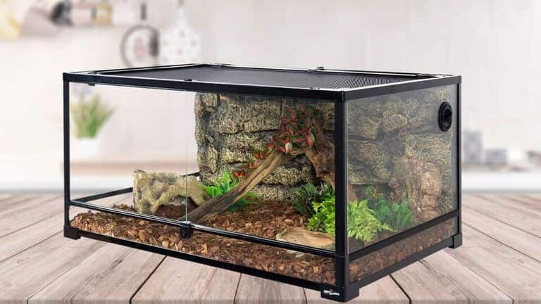 Best Reptile Terrarium [Aug 2023] Review and Buying Guide