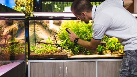6 Best Reptile Cage Cleaner of 2025 6 Best Reptile Cage Cleaner of 2025