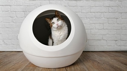 6 Best Cat Litter Boxes For Small Living Spaces of 2026