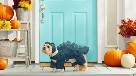 15 DIY Dog Costume Ideas For Your Puppy