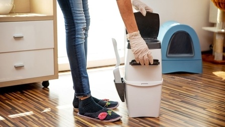 6 Best Pet Odor Removers For Furniture of 2026