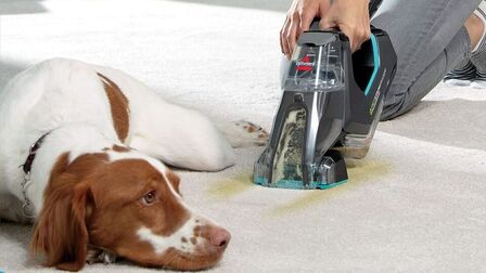 6 Best Pet Stain Remover Machine of 2026