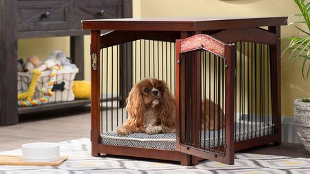 Different Types Of Dog Crates