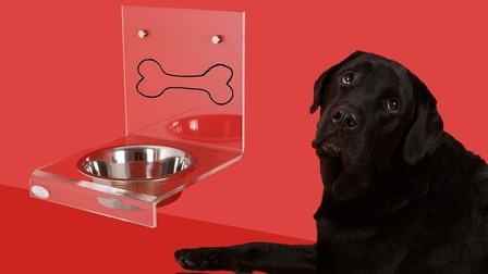 6 Best Elevated Dog Bowls For Large Dogs of 2025
