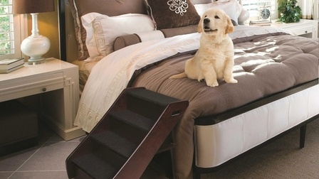 6 Best Dog Stairs for Bed of 2025