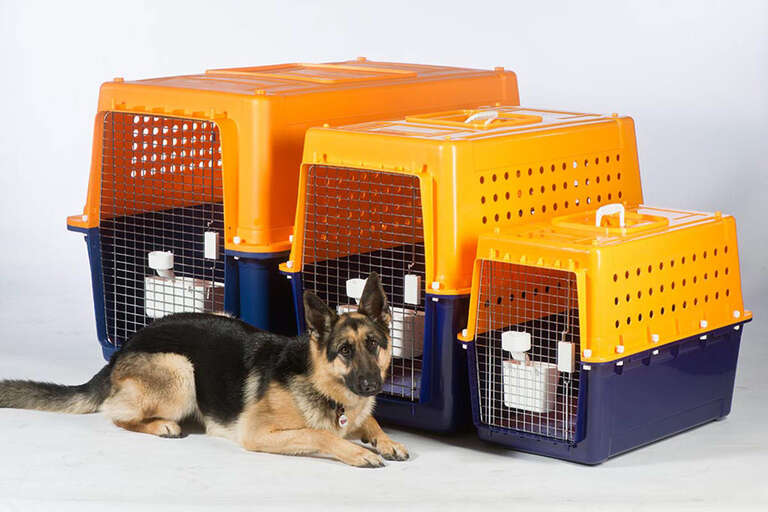 How To Choose Dog Crate Size