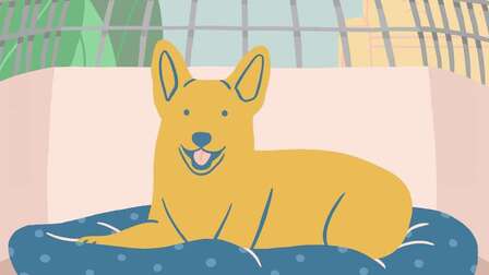 How To Choose Dog Crate Size