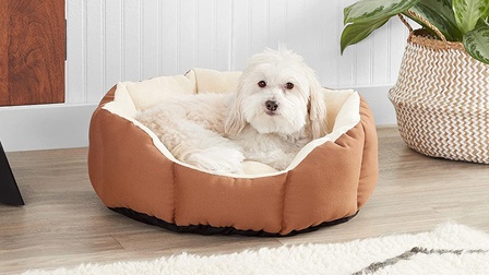6 Best Dog Mattress of 2025