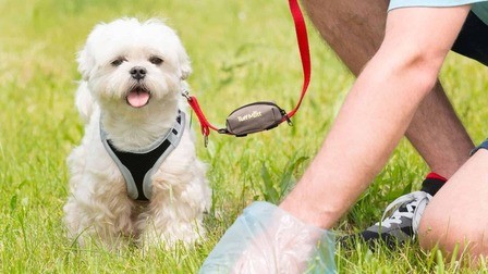 Benefits of Dog Poop Bags