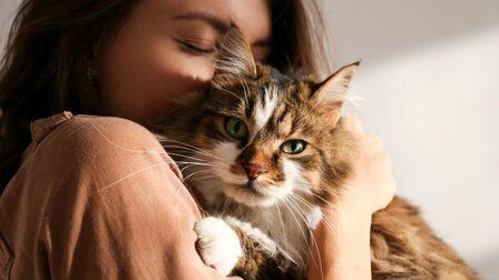 Advantages of Having Cats