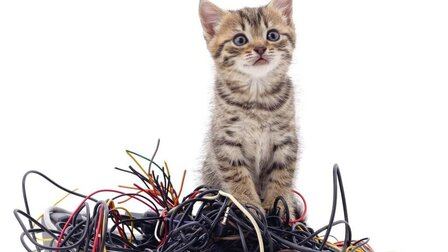 How To Prevent Cats From Chewing Cords