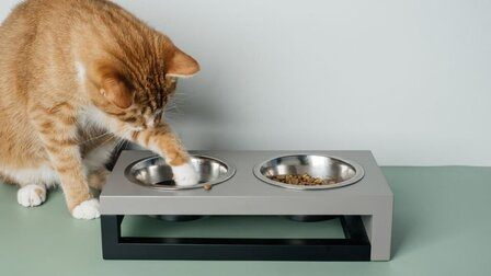 6 Best Food And Water Bowls For Cats of 2026