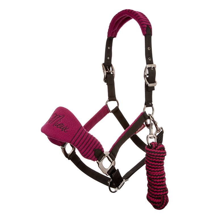 Different Types Of Collars For Dogs