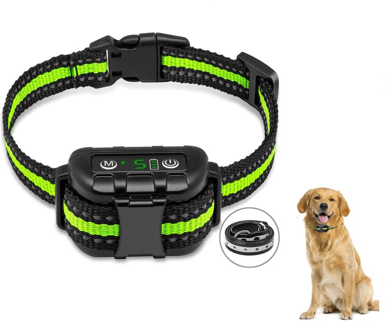 Different Types Of Collars For Dogs