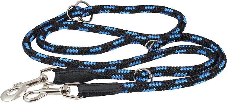 Different Types Of Dog Leashes