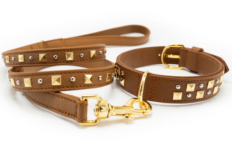 Different Types Of Dog Leashes