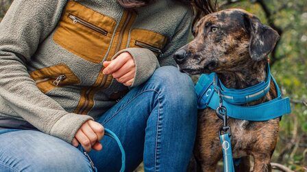 Different Types Of Dog Leashes