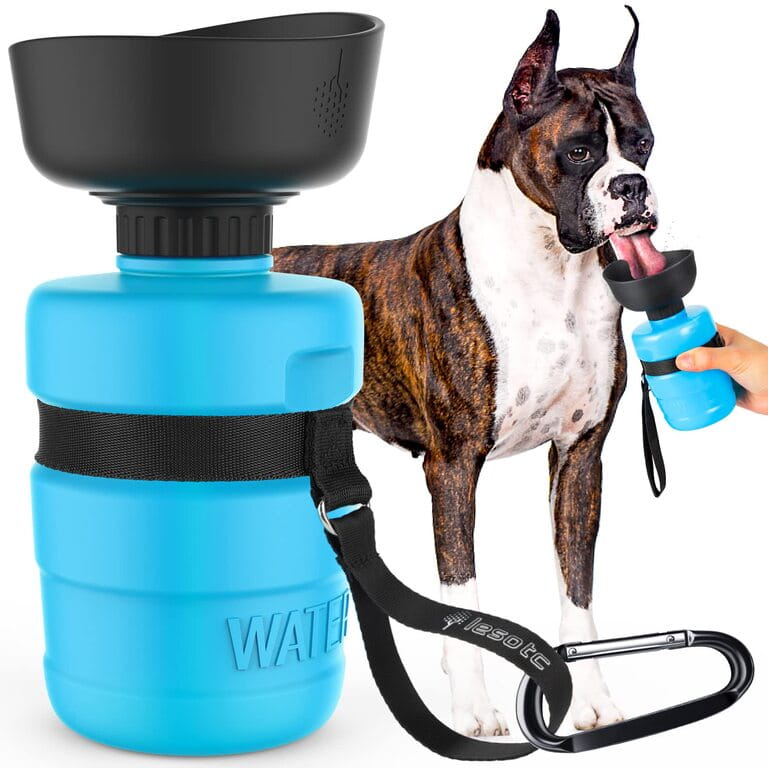 How To Use Dog Water Bottle