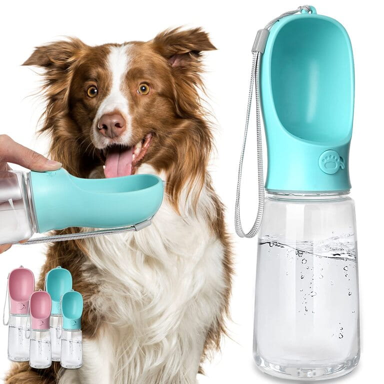 How To Use Dog Water Bottle