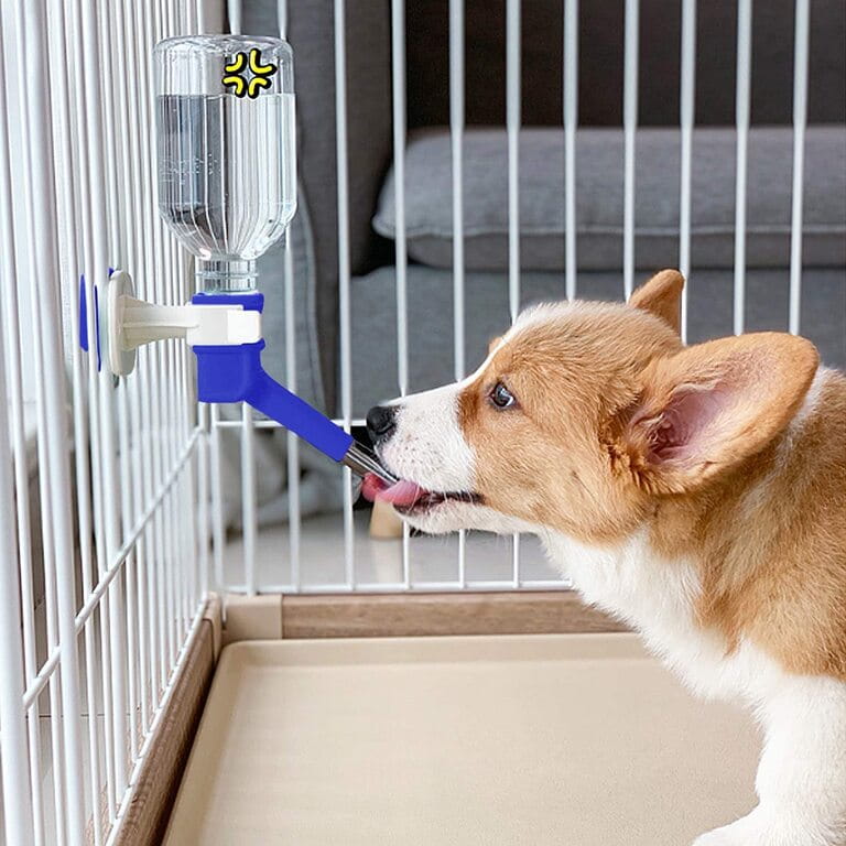 How To Train Dog To Use Water Bottle In Crate