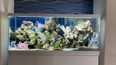 How To Keep Aquarium Water Cool