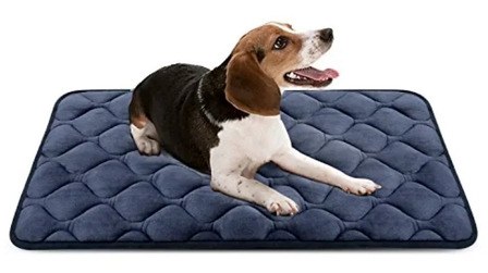 6 Best Crate Pads For Destructive Dogs Of 2026