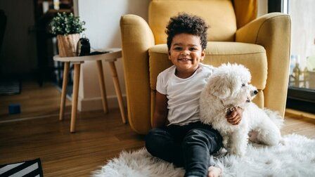 6 Best Genetic Test For Dogs of 2026