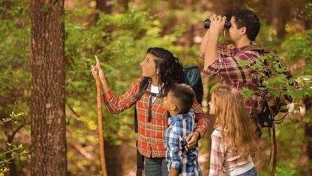 How To Choose Bird Watching Binocular