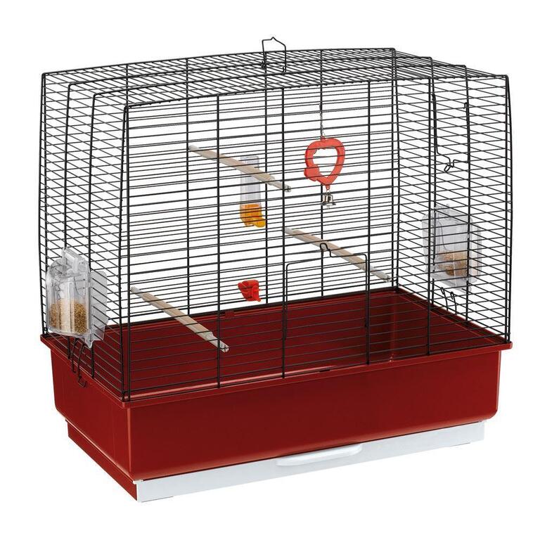 Different Types Of Bird Cages Different Types Of Bird Cages