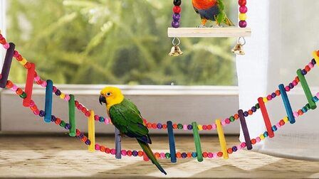 How To Make A Ladder For Birds