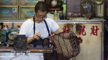 How To Clean Your Bird Cage