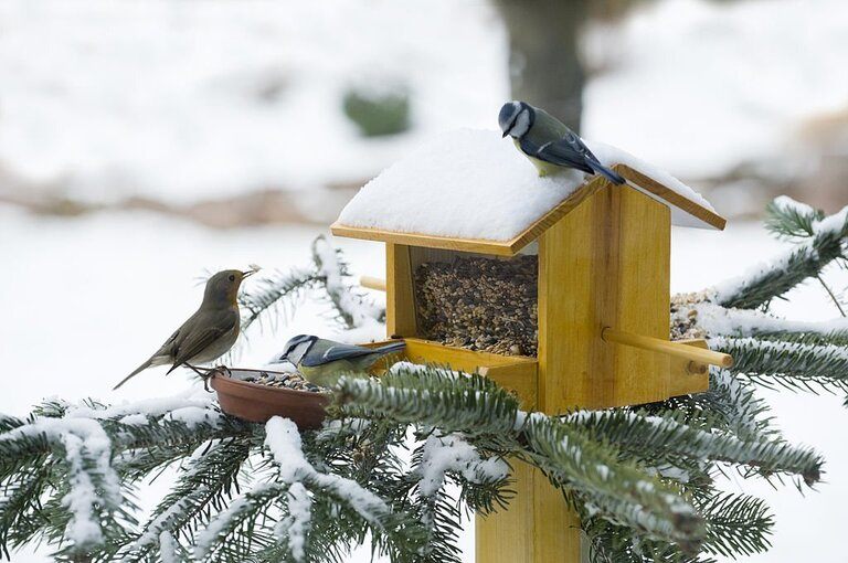 Different Types Of Bird Houses different-types-of-bird-houses