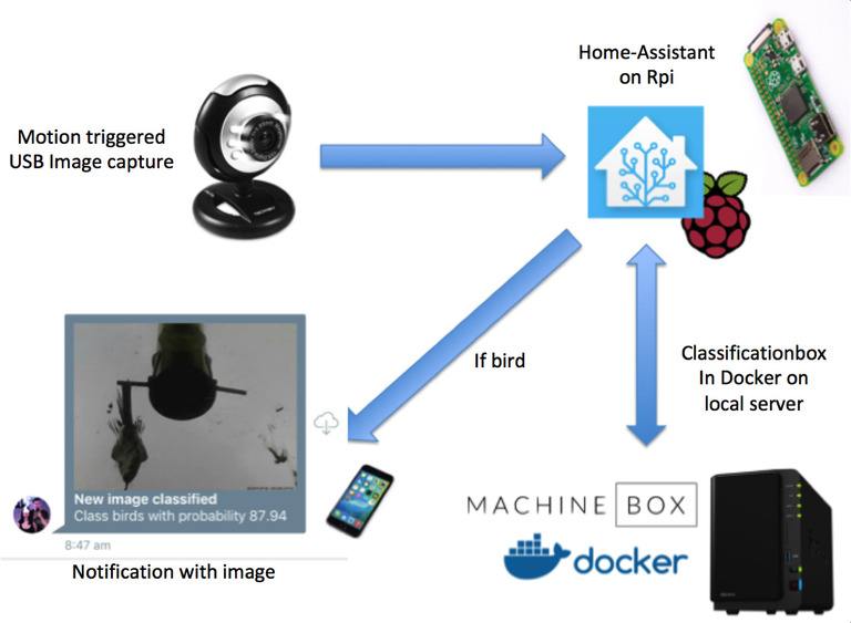 How To Set Up A Birds Nest Camera