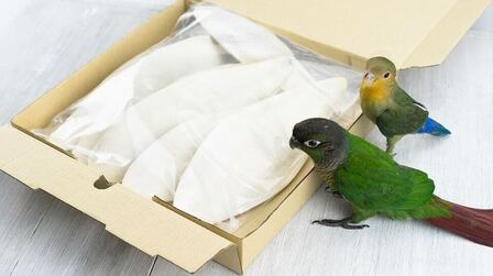 Benefits Of Cuttlebone For Birds