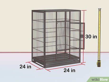 How To Set Up A Conure Cage