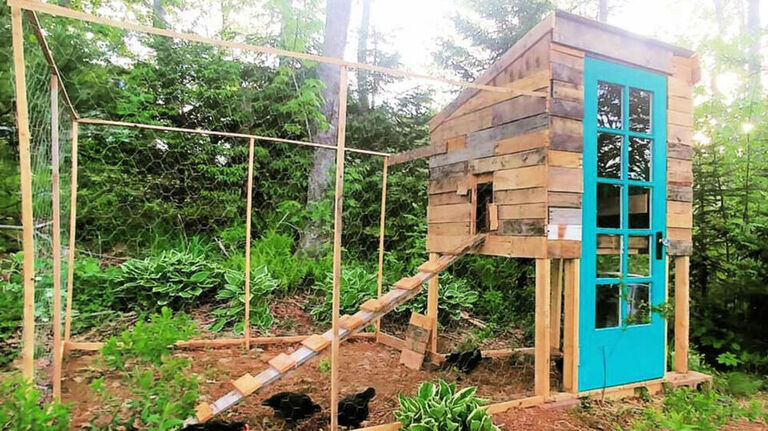 How To Build A Chicken Coop From A Pallet 