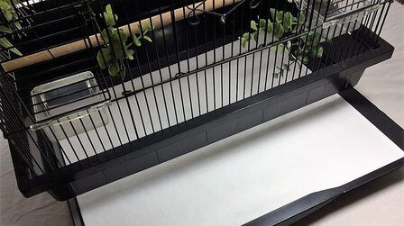6 Best Bird Cage Liners of 2025