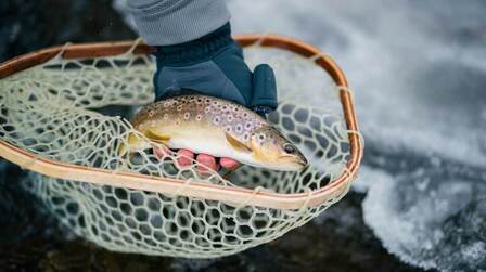 6 Best Fish Net of 2025