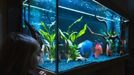 How To Install Led Lights In Aquarium