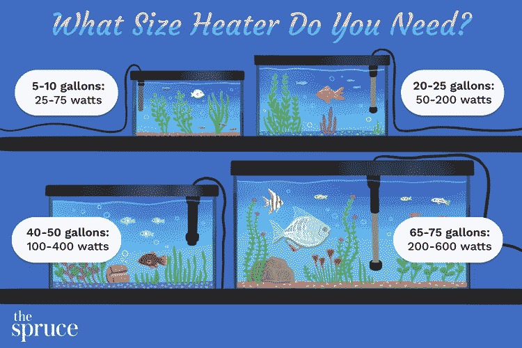 How To Choose Aquarium Heater