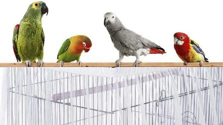 6 Best Bird Seed Catcher of 2025 6 Best Bird Seed Catcher of 2025
