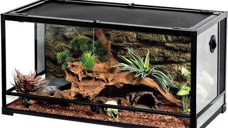 How To Clean A Reptile Cage