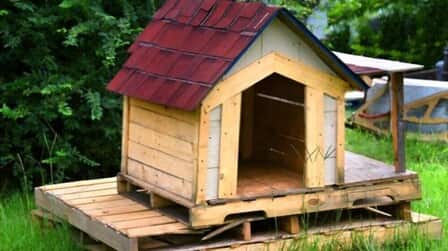 How to Build Dog House with Pallets
