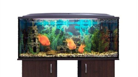 6 Best Aquarium Stands of 2025