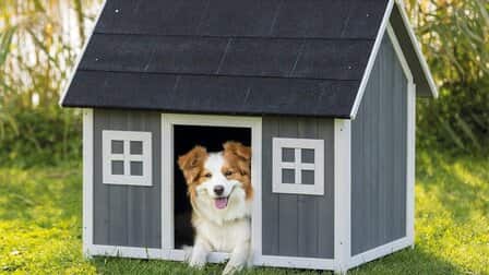 Dog House Ideas For Winter