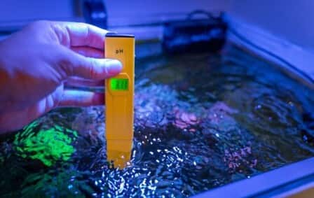 6 Best Aquarium Master Test Kit of 2025