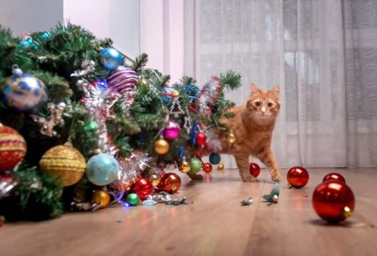 How To Prevent Cats From Climbing Christmas Tree