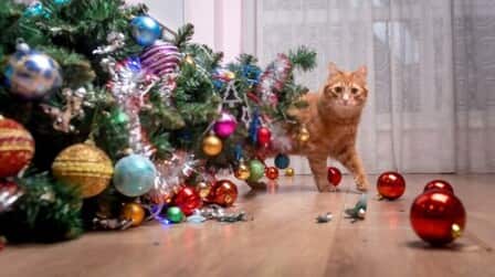 How To Prevent Cats From Climbing Christmas Tree
