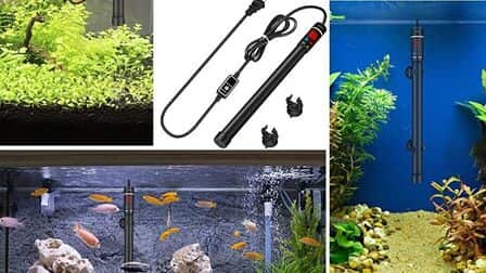 6 Best Aquarium Heater Controller of 2025