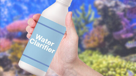 6 Best Water Clarifier For Fish Tank of 2025